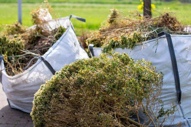 Best Basement Cleanout Services  in Chesapeake, OH